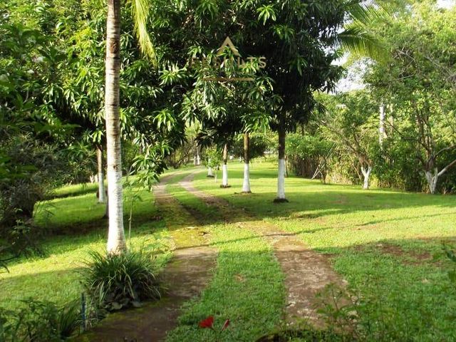 Live the Costa Rica Dream...Nature, Privacy and Pacific Beaches! — foto 4 de 20
