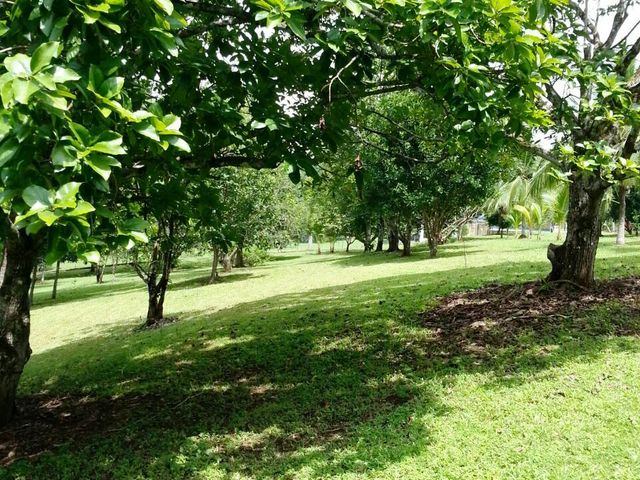 Live the Costa Rica Dream...Nature, Privacy and Pacific Beaches! — foto 11 de 20