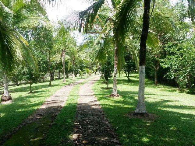 Live the Costa Rica Dream...Nature, Privacy and Pacific Beaches! — foto 5 de 20