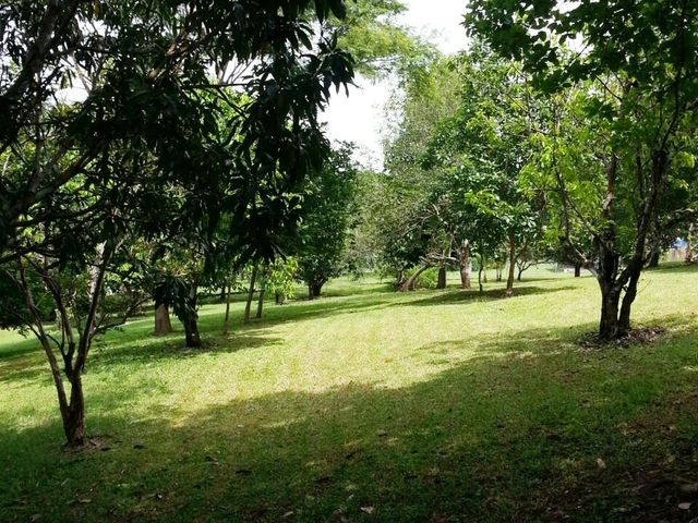Live the Costa Rica Dream...Nature, Privacy and Pacific Beaches! — foto 14 de 20