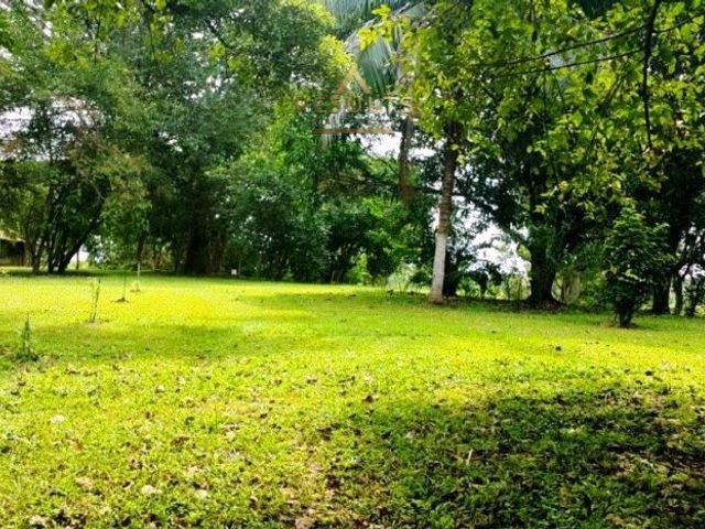 Live the Costa Rica Dream...Nature, Privacy and Pacific Beaches! — foto 18 de 20