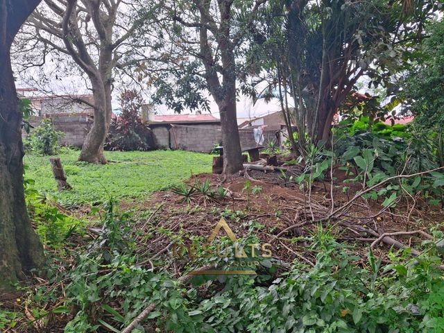 1,186 m2 Commercial Lot close to the CENTRAL PARK! — foto 6 de 12