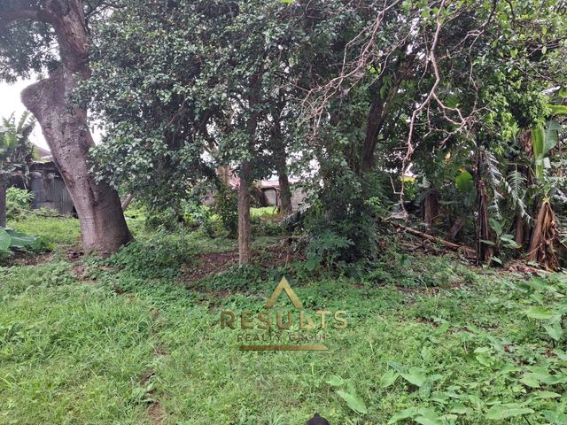 1,186 m2 Commercial Lot close to the CENTRAL PARK! — foto 7 de 12