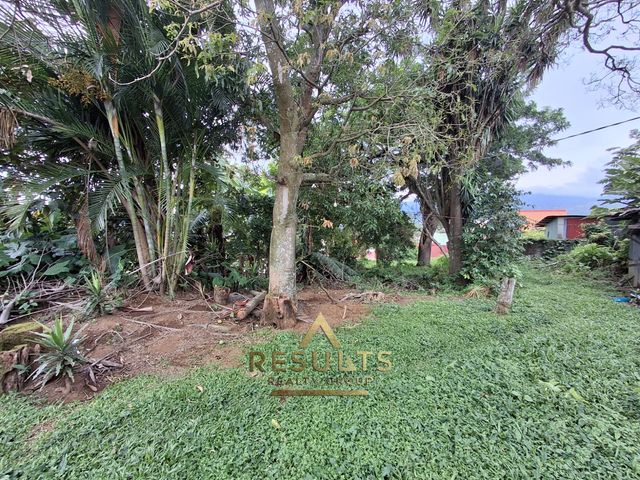 1,186 m2 Commercial Lot close to the CENTRAL PARK! — foto 9 de 12