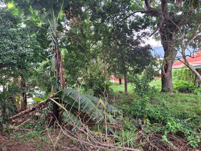1,186 m2 Commercial Lot close to the CENTRAL PARK! — foto 8 de 12