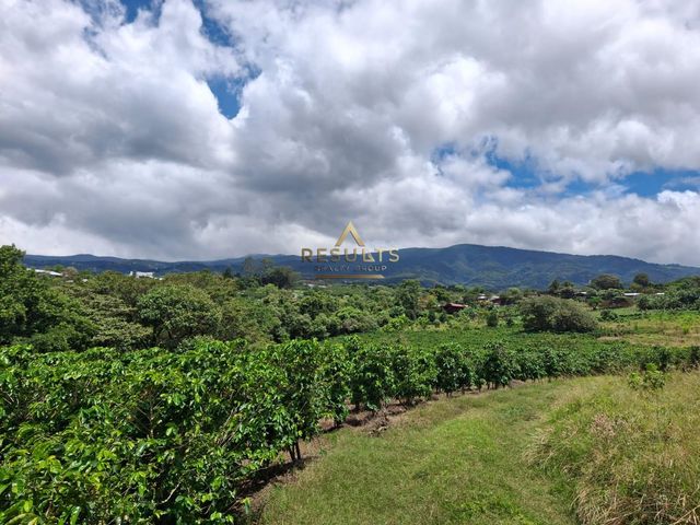 4.8 ha Flat Development Land 5004-2344 — photo 4 of 11