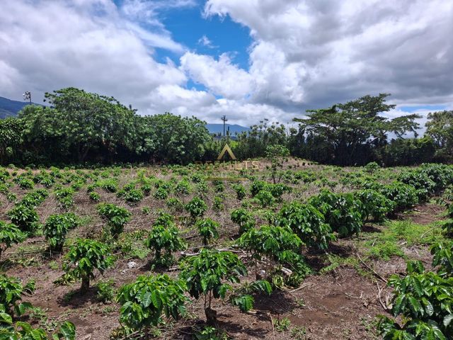 4.8 ha Flat Development Land 5004-2344 — photo 9 of 11