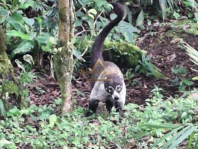 Casa Monte Verde — photo 11 of 15