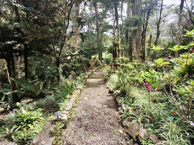 Casa Monte Verde — photo 12 of 15