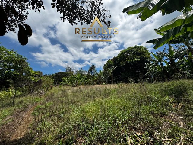 7,661 m2 Finca con vistas! 5004-2344 — foto 10 de 12
