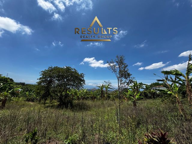 7,661 m2 Finca con vistas! 5004-2344 — foto 6 de 12