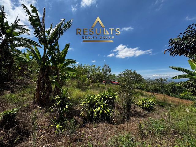 7,661 m2 Finca con vistas! 5004-2344 — foto 3 de 12