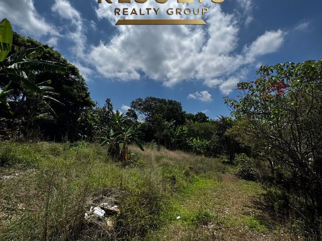 7,661 m2 Finca con vistas! 5004-2344 — foto 8 de 12