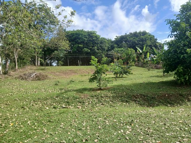 Hermoso y amplio terreno — foto 5 de 5