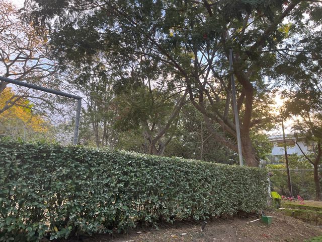 Hermoso apartamento en Condominio — photo 33 of 42