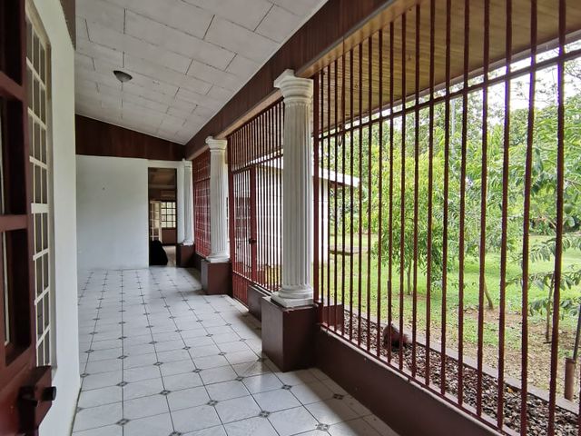 Casa con Terreno de 5.000m2 en Guápiles — photo 12 of 14