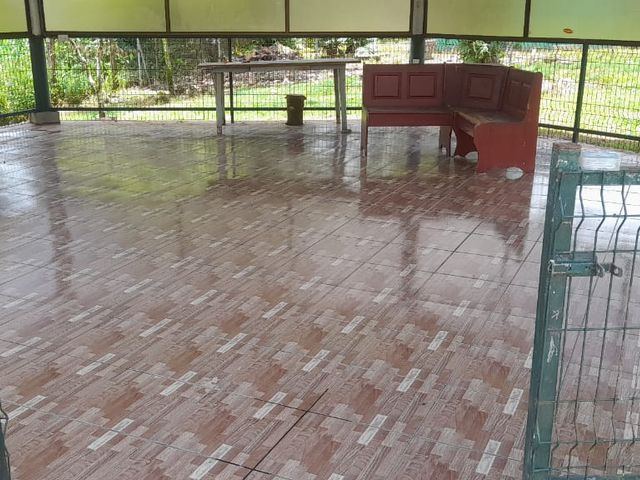 Casa con Terreno de 5.000m2 en Guápiles — photo 10 of 14