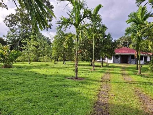 Casa con Terreno de 5.000m2 en Guápiles — photo 13 of 14