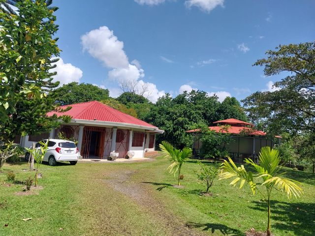 Casa con Terreno de 5.000m2 en Guápiles — photo 2 of 14