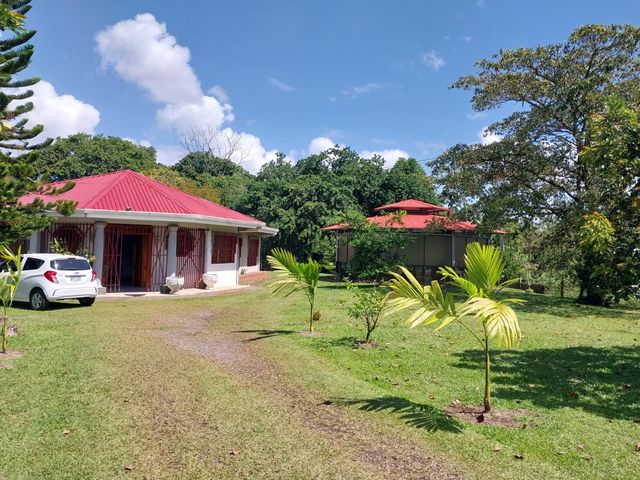 Casa con Terreno de 5.000m2 en Guápiles — photo 6 of 14