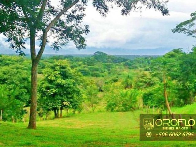 LOTE MIXTO CON VISTAS AL MAR GARABITO, PUNTARENAS #61102eb — foto 6 de 6