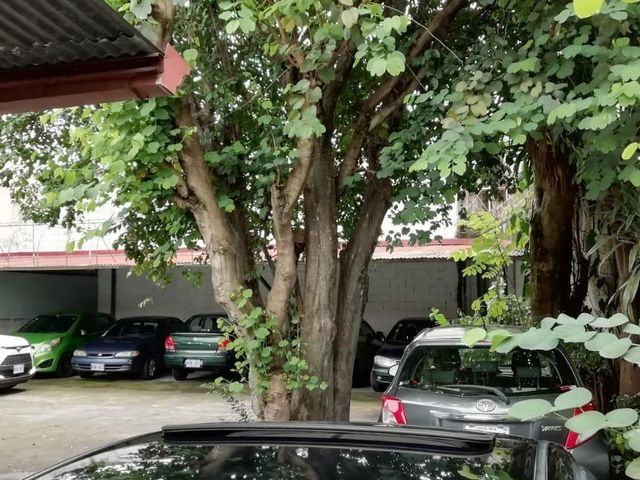 Vendo terreno en Paseo Colón — photo 2 of 6