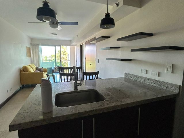Departamento Amueblado de 1 Hab en la Uruca 55 m2 — foto 8 de 20