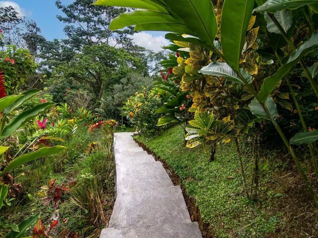 La Mejor Inversión en Costa Rica: Airbnb Business con Arenal Volcano View — foto 19 de 21
