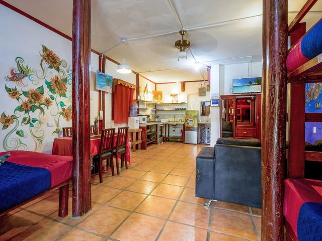 Exclusiva Oportunidad de Inversión: Hotel Boutique en Puerto Viejo, Limón — photo 10 of 20
