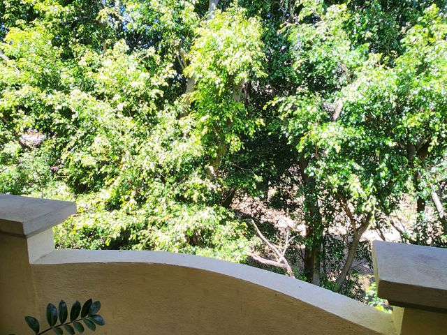 Exclusivo Apartamento Amueblado con Vista al Bosque – Condominio Montesol — photo 14 of 14