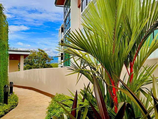FLAT PREMIUM EN SENDEROS DEL CHIRCA – EXCLUSIVIDAD Y ALTA RENTABILIDAD EN ESCAZÚ — photo 16 of 19