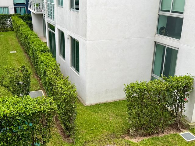 Bambu Rivera — photo 5 of 10