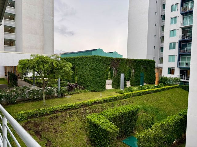 Bambu Rivera — photo 6 of 10