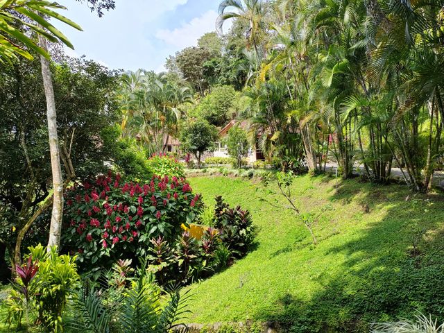 Casa San Laz — photo 17 of 18