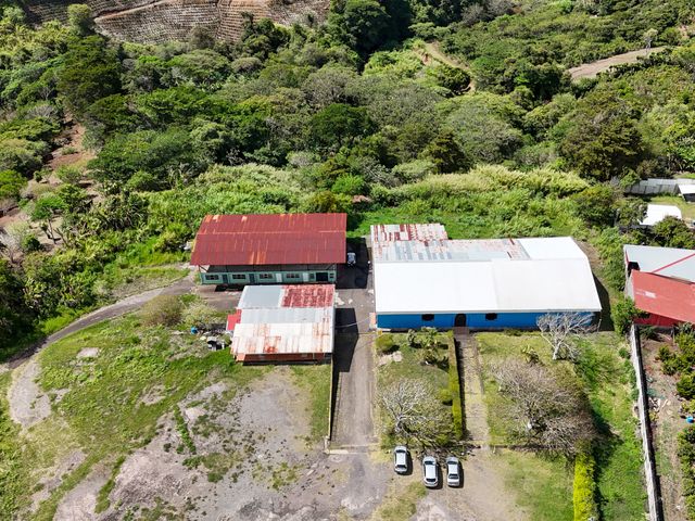 Venta de Lote de 10.000 m2 para desarrollo de condominio en Los Ángeles de Santo Domingo — foto 5 de 5