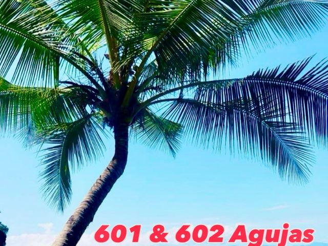 Playa Agujas, Casa 602 for Long Term Rent — photo 12 of 13