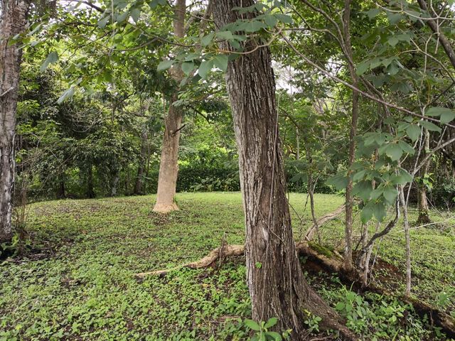 Filial #39 en Condominio Quinta Esencia, Espíritu Santo, Esparza — photo 9 of 9