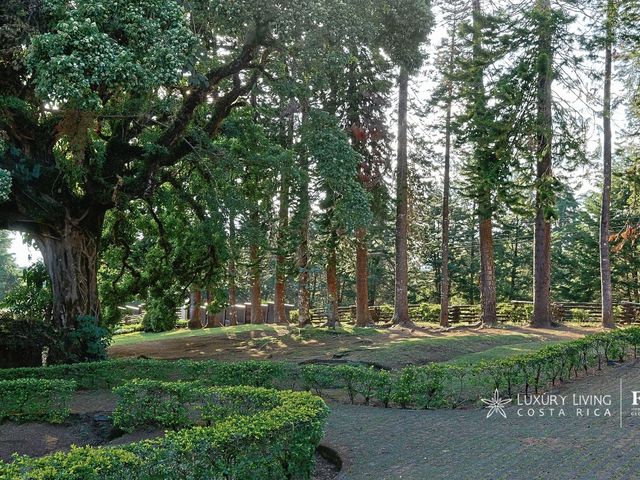 21325 - The Views Mountain Estate in San Jose de la Montaña — photo 10 of 21