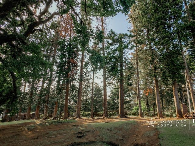21325 - The Views Mountain Estate in San Jose de la Montaña — photo 11 of 21