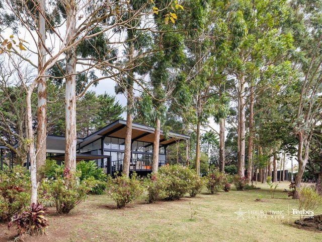 21373 - Contemporary Forest Villa | San Rafael de Heredia Residence — photo 6 of 20