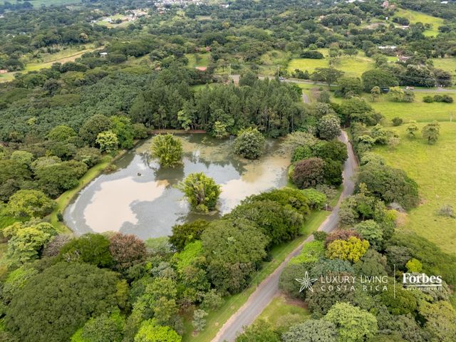 20440 - 46-Hectare Estate with Development Potential in La Garita — photo 6 of 21
