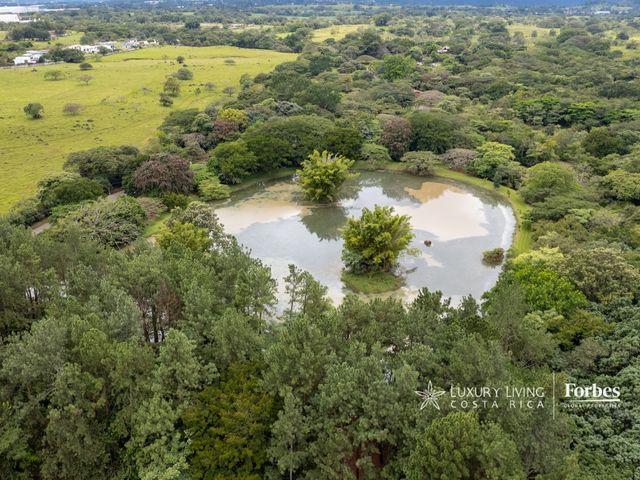 20440 - 46-Hectare Estate with Development Potential in La Garita — photo 2 of 21
