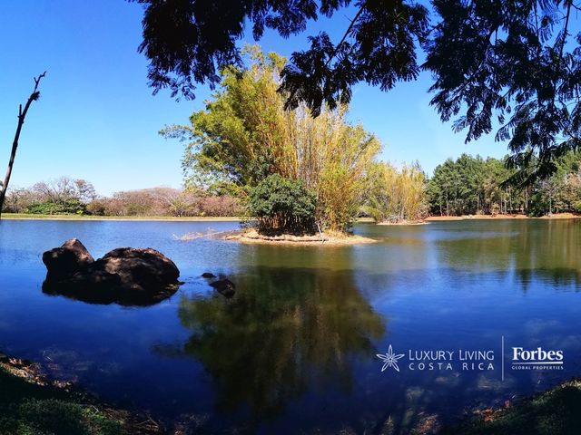 20440 - 46-Hectare Estate with Development Potential in La Garita — photo 20 of 21