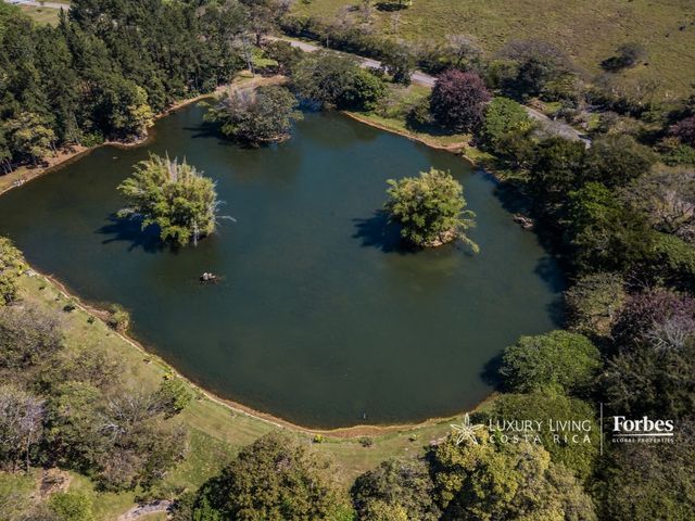 20418 - Luxury Residence with Private Lake and 23.7 Hectares, La Garita — photo 3 of 21