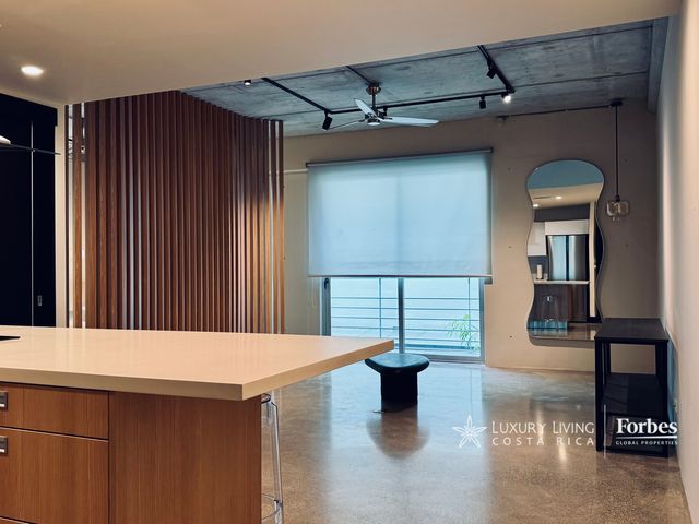21384 - Remodeled and Fully Equipped Single Loft with Premium Amenities — photo 6 of 11