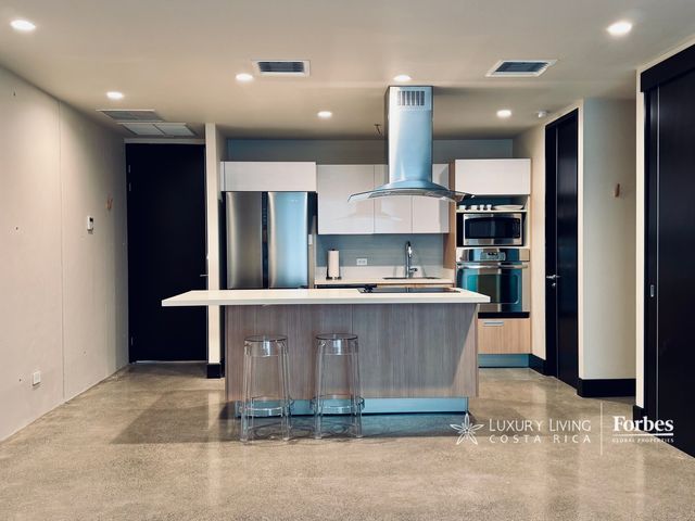 21384 - Remodeled and Fully Equipped Single Loft with Premium Amenities — photo 3 of 11