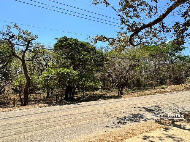 21387 - Oceanfront lot, Lagartillo Beach, Guanacaste — photo 4 of 6