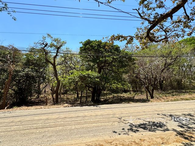 21387 - Oceanfront lot, Lagartillo Beach, Guanacaste — photo 6 of 6