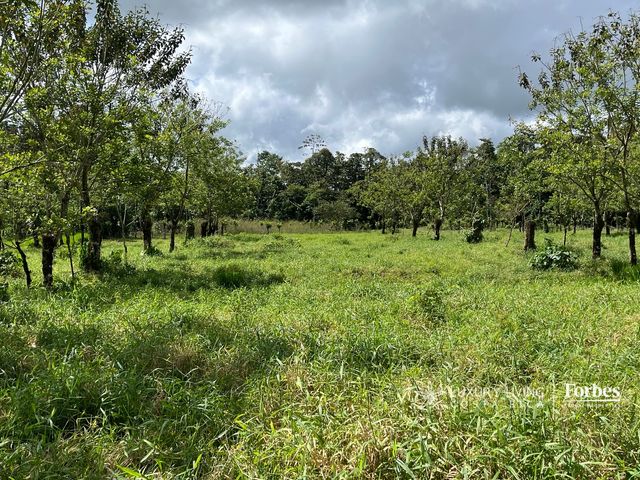 21389 - Property for Sale for Hospitality Development in La Fortuna — photo 5 of 7
