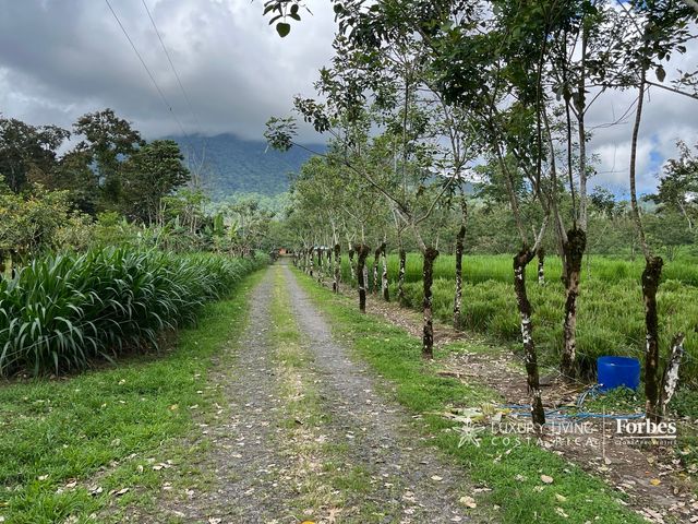 21389 - Property for Sale for Hospitality Development in La Fortuna — photo 3 of 7